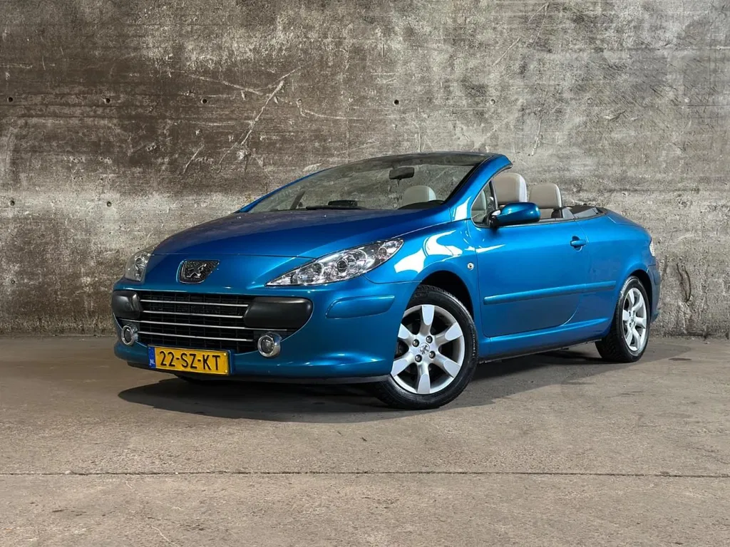 Fotografie: 2007 Peugeot 307
