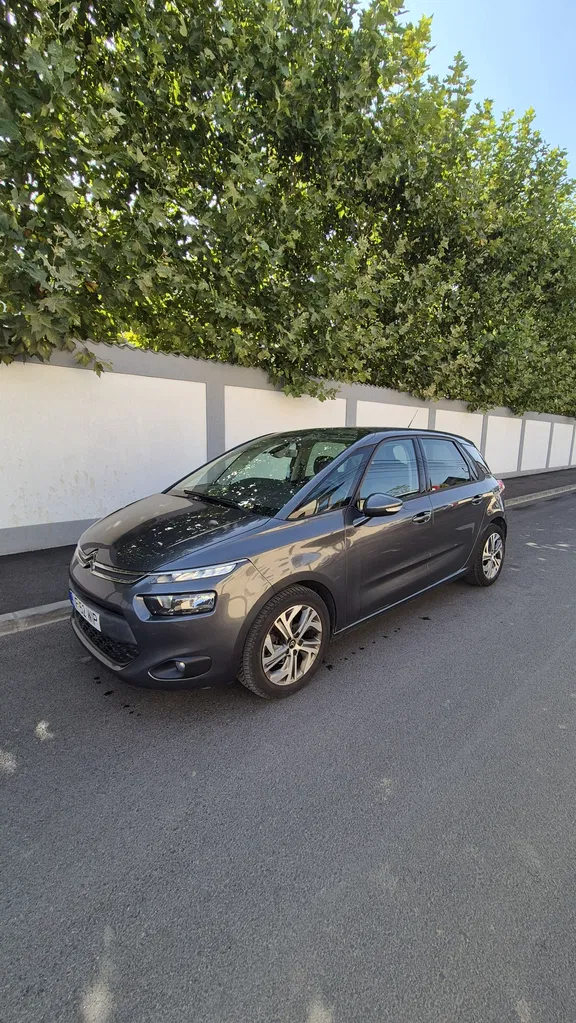 Fotografie: 2016 Citroen C4 Picasso