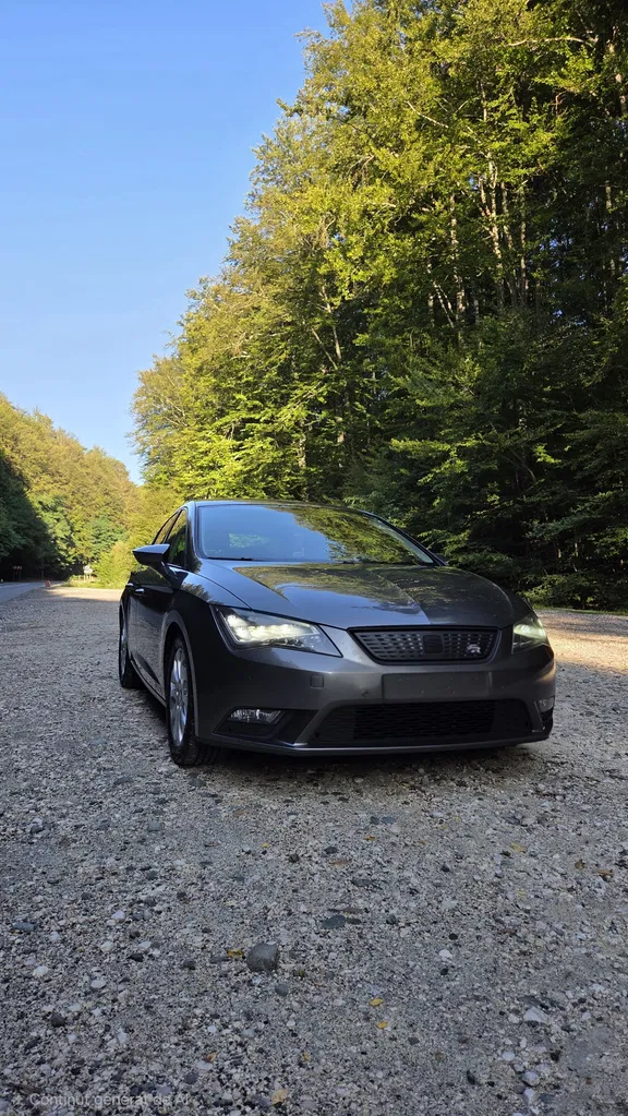 Fotografie: 2014 Seat Leon