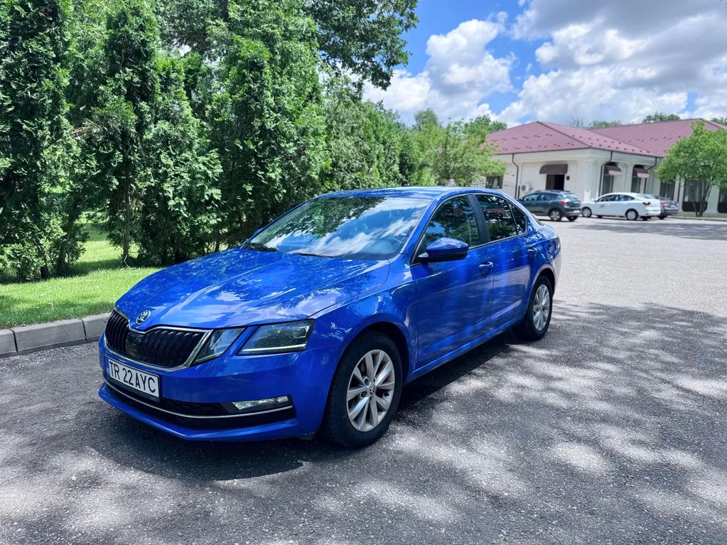 Fotografie: 2018 Skoda Octavia