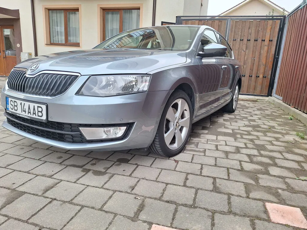 Fotografie: 2013 Skoda Octavia
