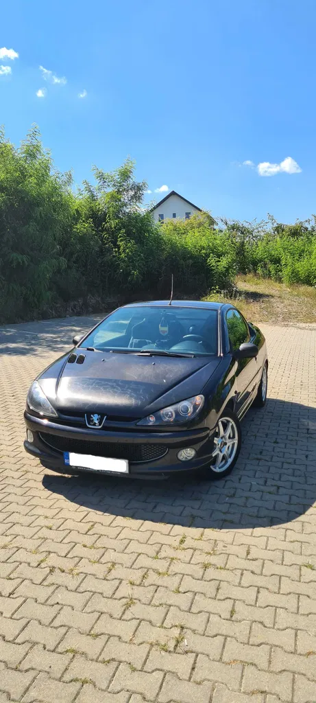 Fotografie: 2007 Peugeot 206 CC