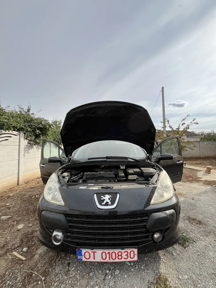 Fotografie: 2005 Peugeot 307 SW