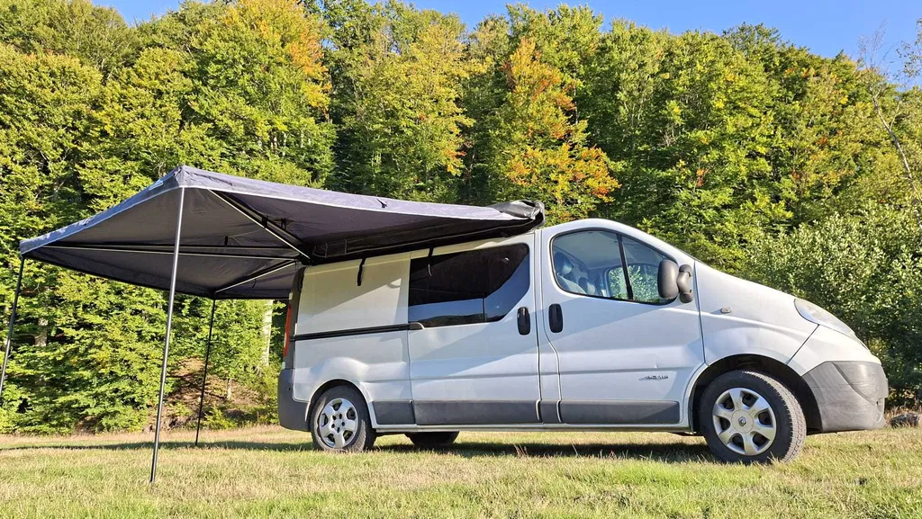 Fotografie: 2011 Renault Trafic