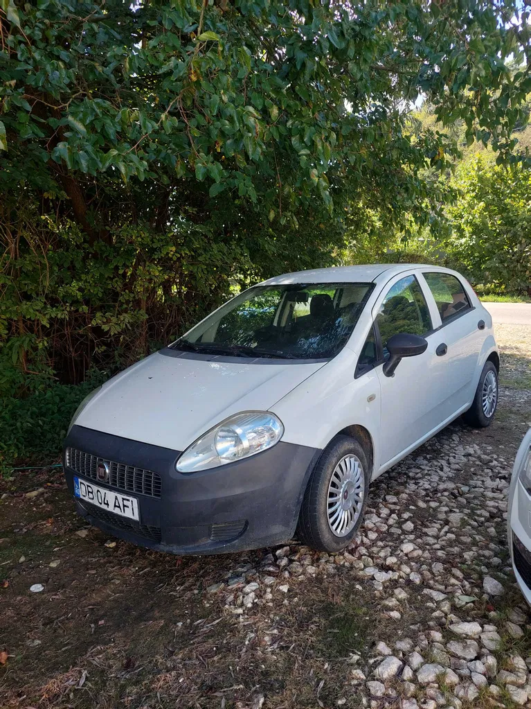 Fotografie: 2009 Fiat Punto