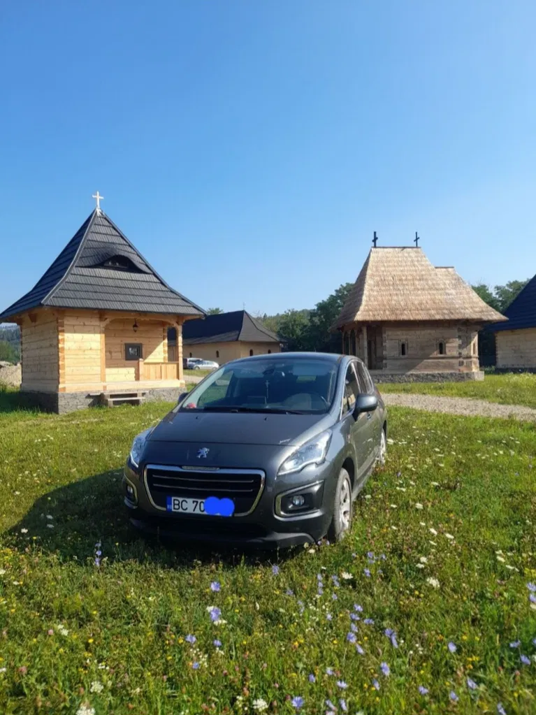 Fotografie: 2014 Peugeot 3008