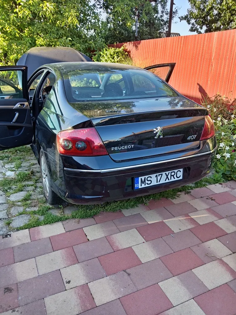 Fotografie: 2007 Peugeot 407