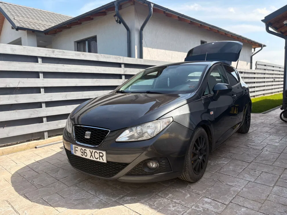 Fotografie: 2011 Seat Ibiza