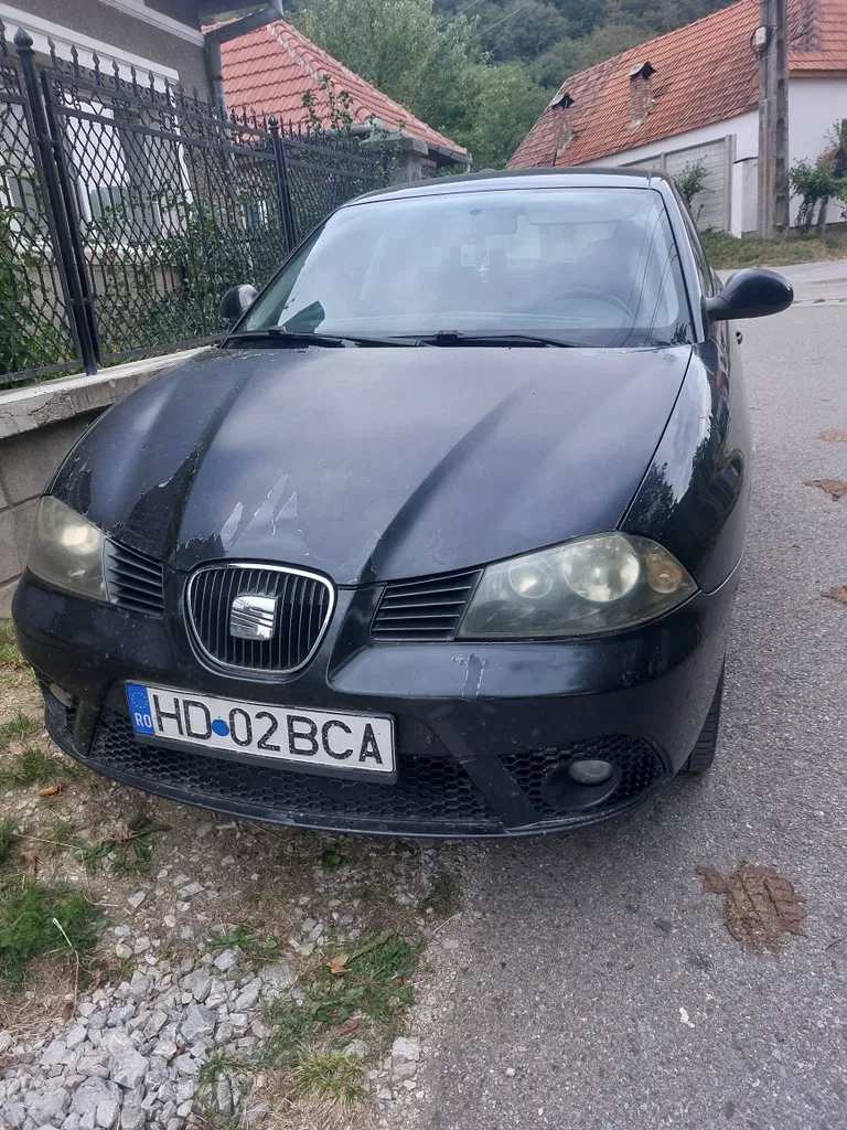 Fotografie: 2006 Seat Ibiza