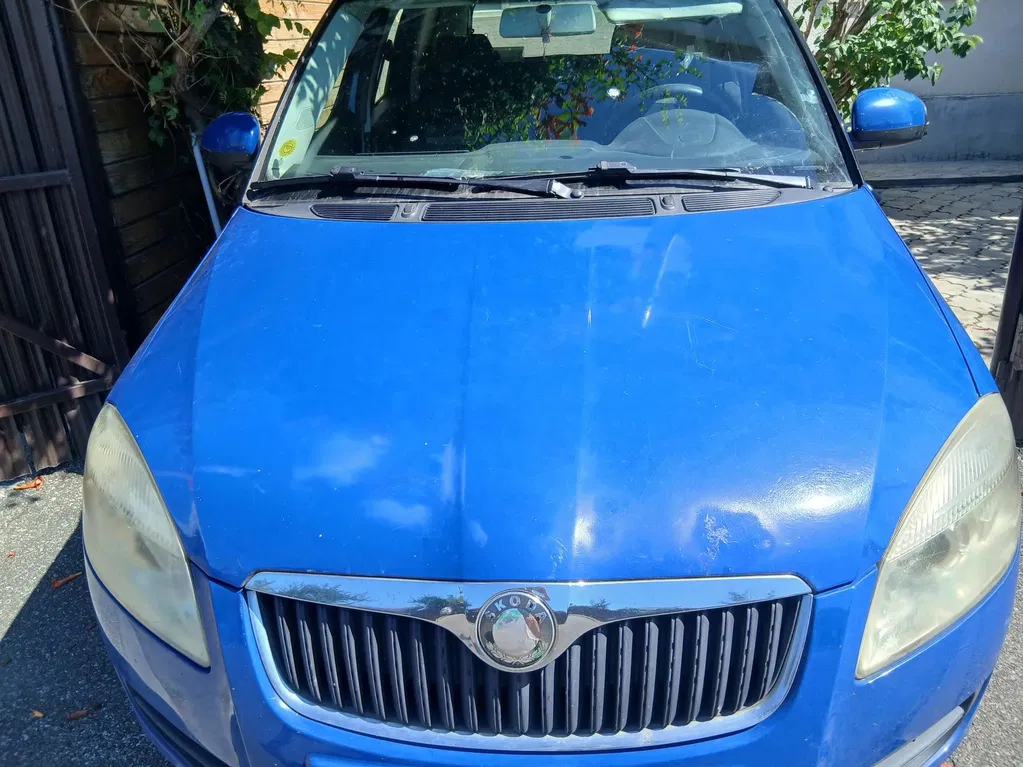 Fotografie: 2007 Skoda Roomster