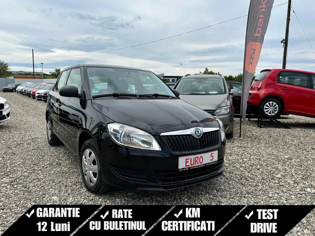 Fotografie: 2013 Skoda Fabia