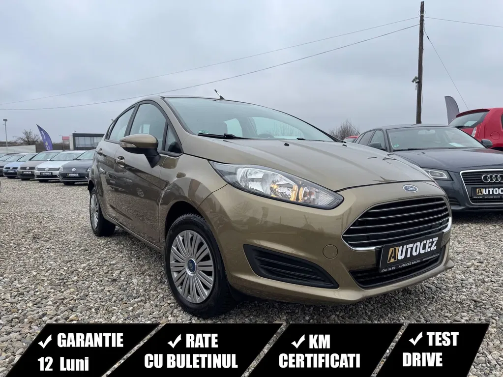 Fotografie: 2014 Ford Fiesta