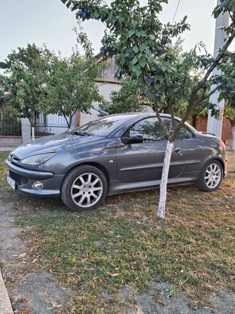 Fotografie: 2006 Peugeot 206 CC